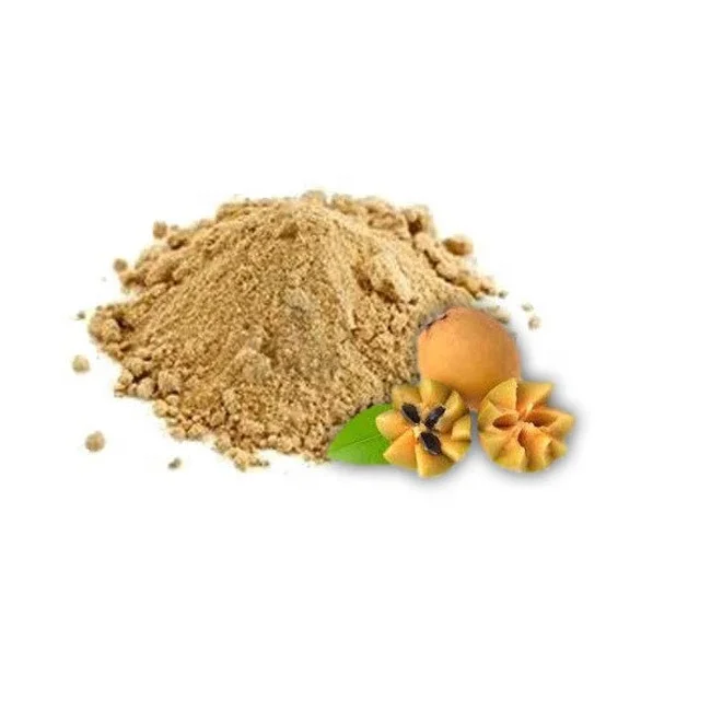 Bulk Supply of Natural Vitamin-Rich Chikoo Powder Freeze-Dried Bark of Frozen Sapota/Sapodilla Fruit for Smoothies