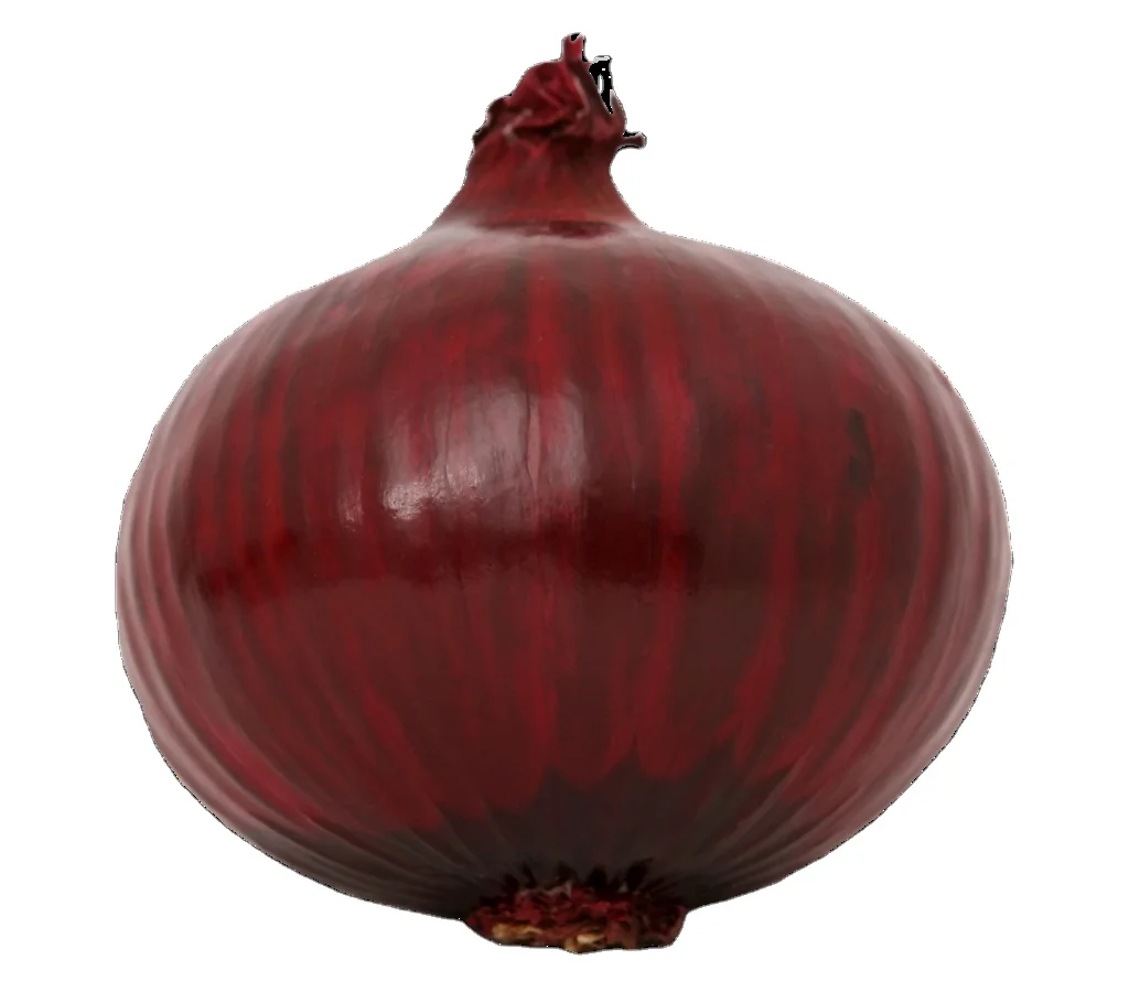 We export onion wholesale all over the world without any delivery charges, it is very tasty and healthy to eat