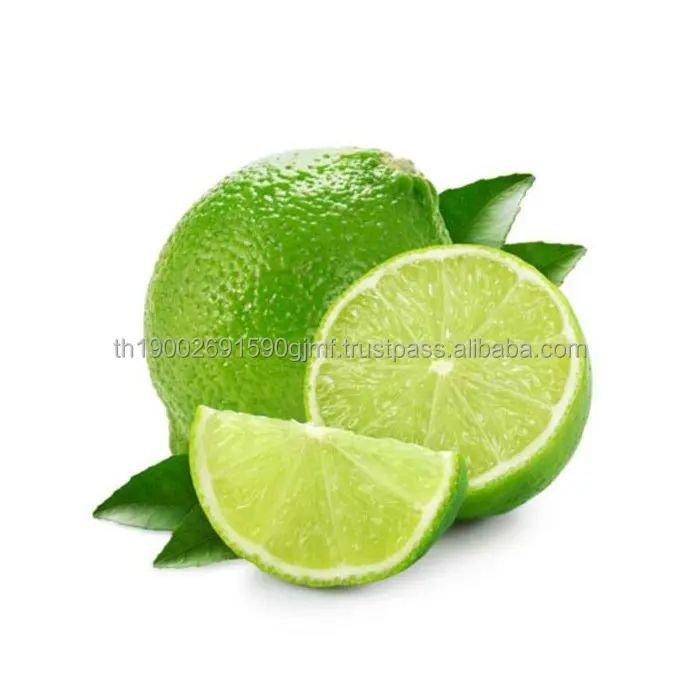 lime-large.jpg