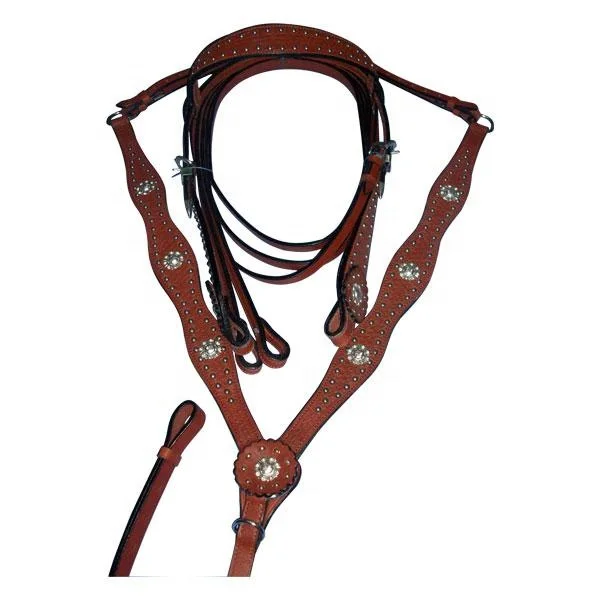 Western Headstall Bridle.