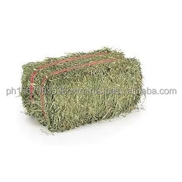 hay (2).jpg