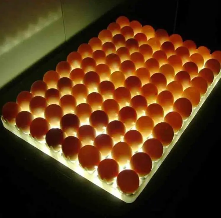 LED Chicken fertilised egg candler machine/ egg checking machine/ automatic egg candle tester candlelight