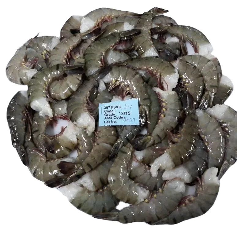 Buy High Quality Frozen Black Tiger HLSO Shrimps
