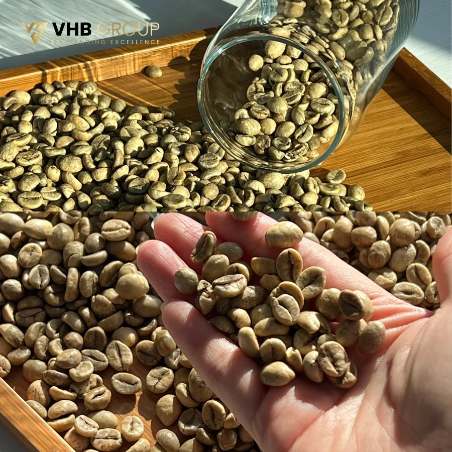 Big Reduction Coffee Beans Packaging Earthy Price Of Raw Coffee Beans For Importers Coffee Grains