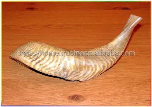 Оптовая продажа рог Shofar натурального цвета высокого качества для украшения дома ручной работы Ram