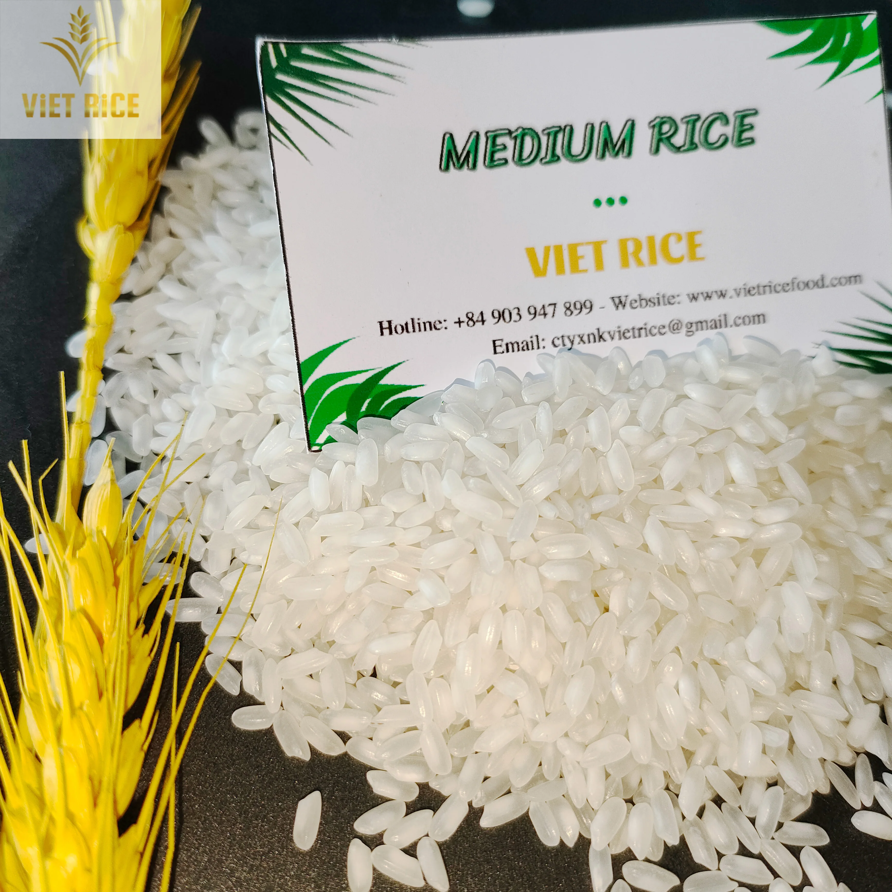 EGYPTIAN CAMOLINO RIZ 5% broken-premium MEDIUM grain white rice supplied from a Vietnamese leading rice manufacturer ad exporter