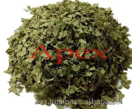 Листья кассии алаты и T-образные листья TBC