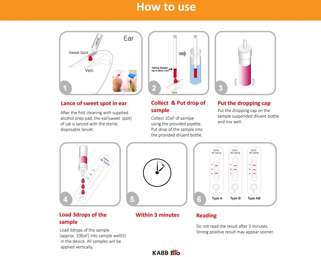 Prominent & Good Cat health Care Blood Type Test Supplement Made in South Korea