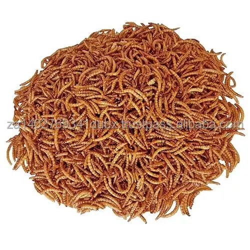 DriedMealwormsPic.jpg