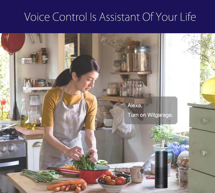 Tuya Alexa Smart Control Garage Door Motor Electric Wireless Iot WiFi Garage Door Opener Sensor