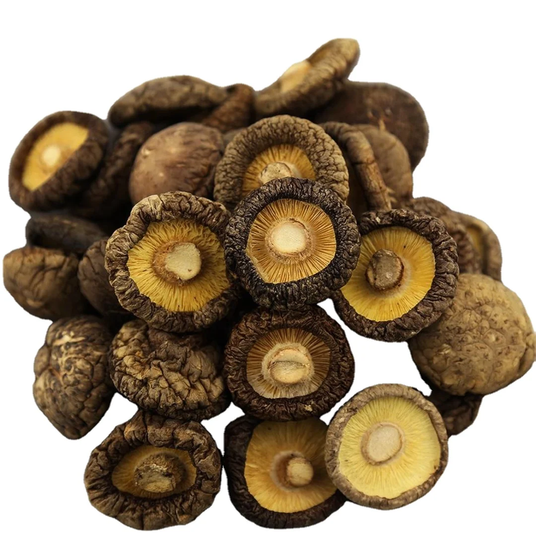 Low Price  High Quality Natural Dried Shiitake mushrooms Organic mushrooms  From Vietnam 100% Organic Good Price