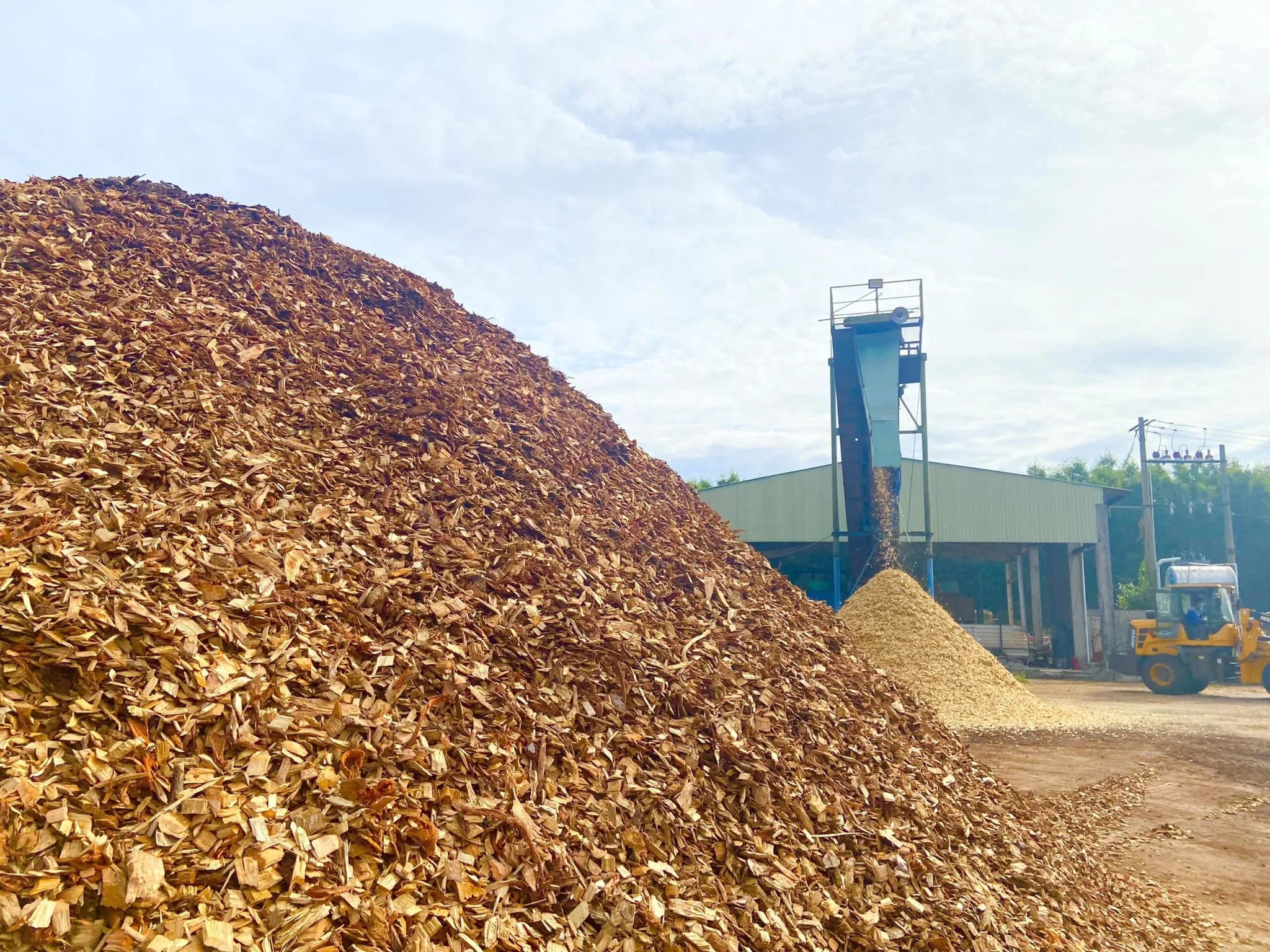 Вьетнамские деревянные стружки, деревянные стружки для курильщика, высокое качество, низкая цена, оптовые поставщики