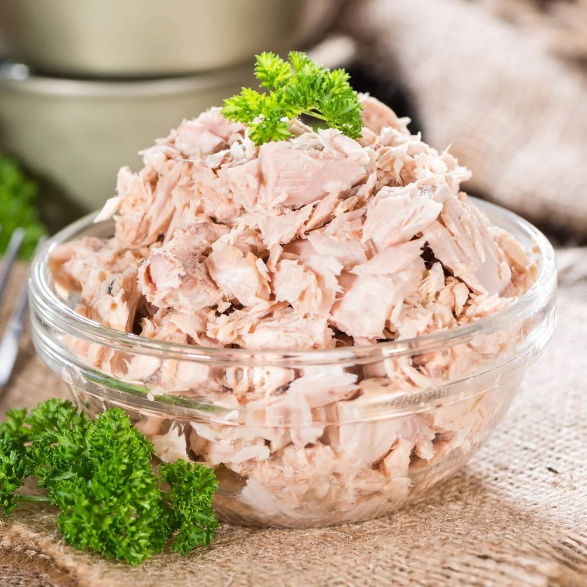 Top quality Morocco origin Canned Sardine Available