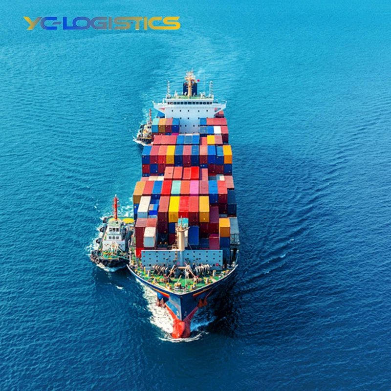 Freight Forwarder Shipping Agent From China To UK Netherlands Canada USA Germanty shipping from China Fast Sea Shipping