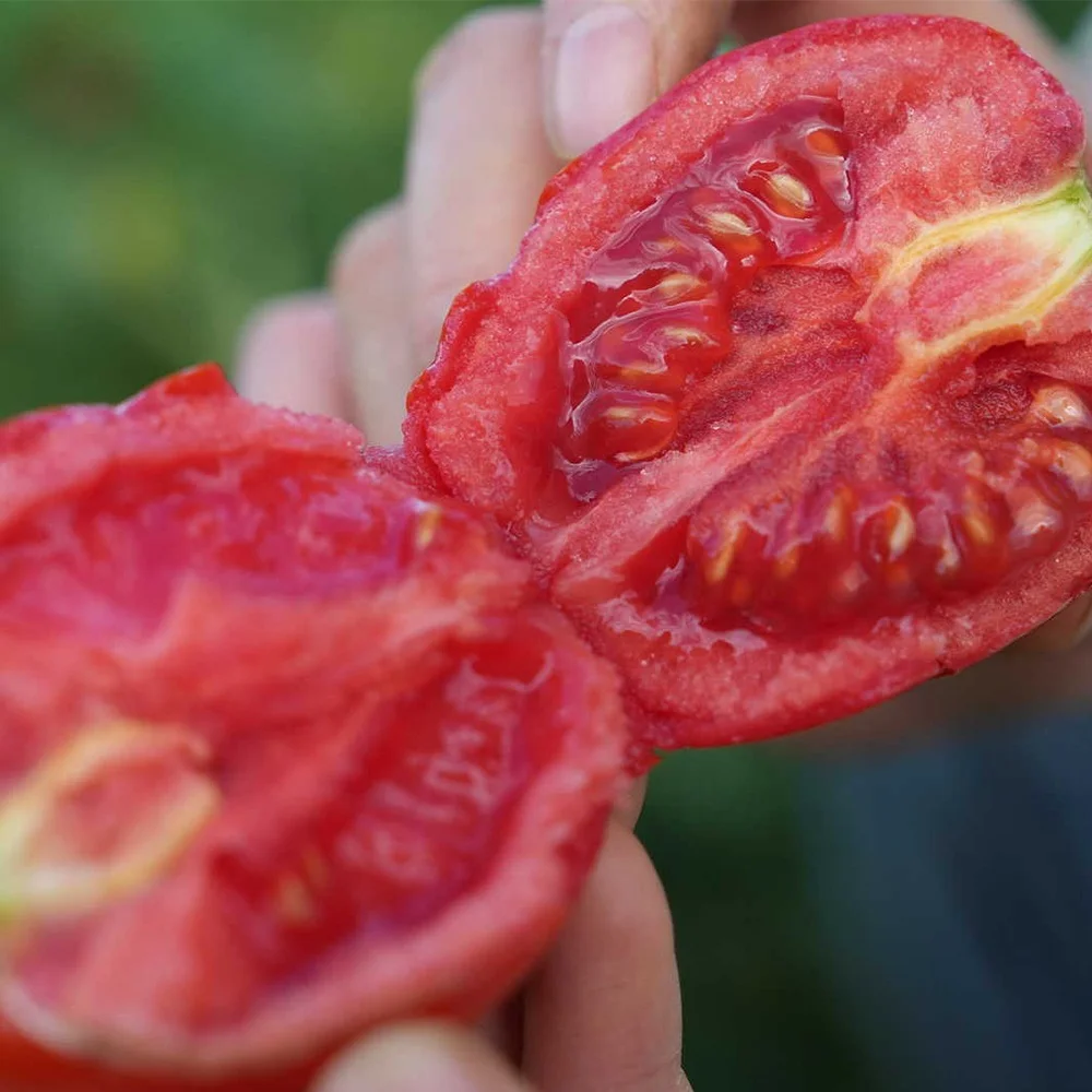 High Quality 100% Made In Italy Peeled Tomatoes 400g Food Peeled Tomatoes In Canned