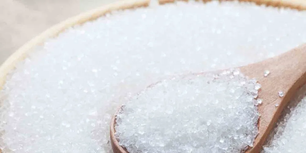 Indian Sugar Wholesale Price Natural Fresh Refined Sugar Hot Sale 2022 White Cane Indian Sugar at Low Price