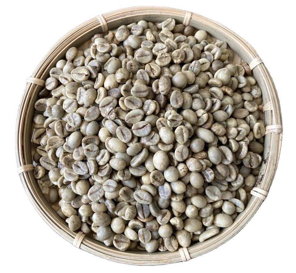 Vietnam Robusta Arabica Green Coffee Beans 13 16 18 Unwashed Clean Wet Polished Roasted Robusta Contact +84398885178