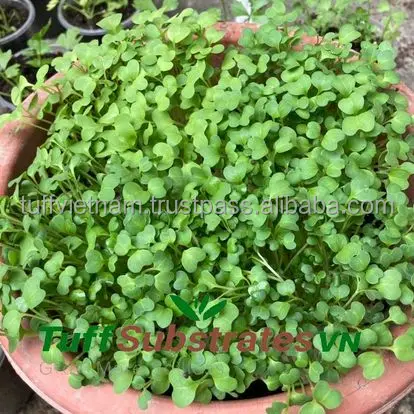 Selling Block Cocopeat Coir Pith For Plants With 550Gr Block High Quality in size 18*18*20cm good expan from Tuff Vietnam Low EC