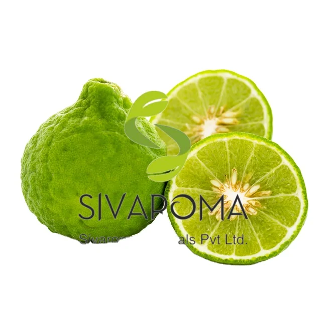 Trusted Manufacturer of India Marketed Best Quality Essential Oil BERGAMOT OIL for Aromatic Aromatherapy of Human Body