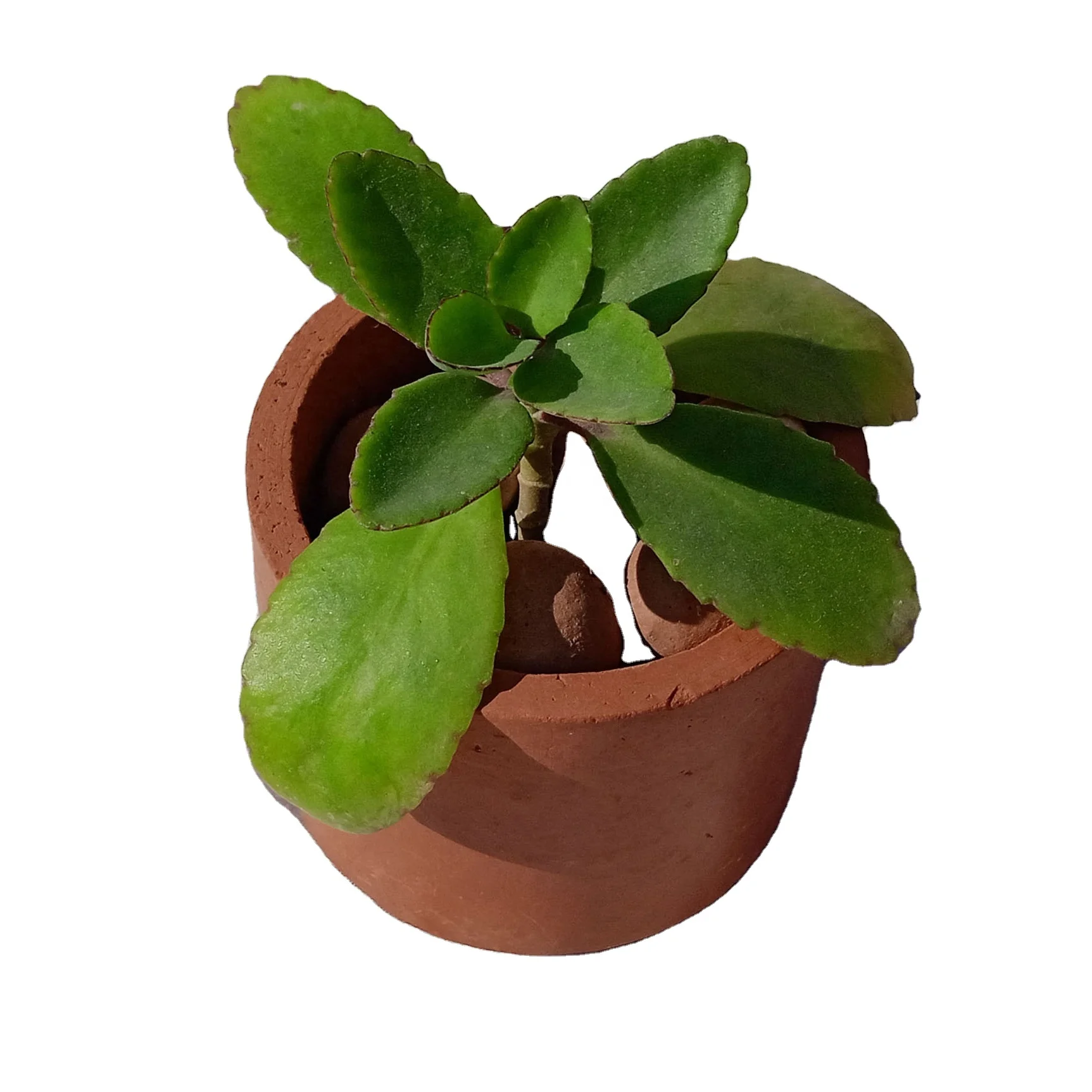 Маленькие Миниатюрные Горшки для суккулентов и кактусов из натуральной глины, терракотовые, используемые в качестве комнатных растений и домашнего декора