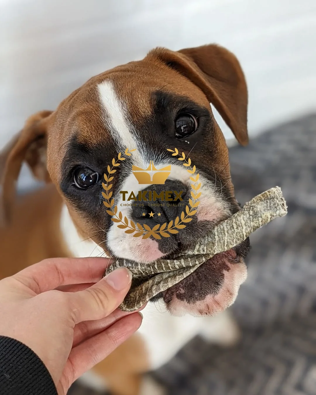 TASTY DRIED FISH TREATS FOR DOGS OMEGA-3 RICH SALMON BASA FISH SKIN 500 GRAMS PACKING OEM FROM TAKIMEX FACTORY VIETNAM