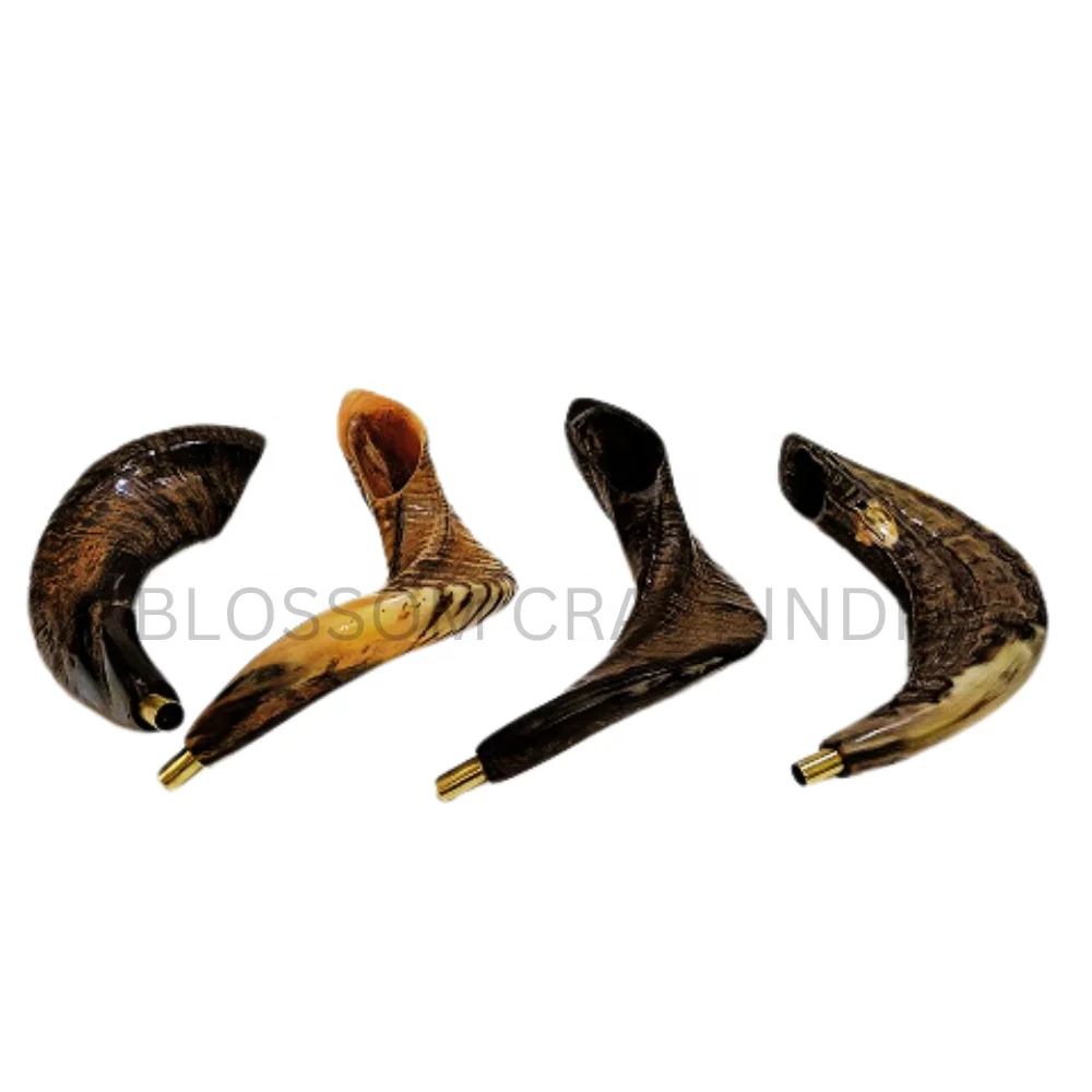 Authentic Horn Shofar / Kudu / Ram Horn / Polished Shofar Agate with Brass Whistle Easy to Blow at Religious Festival or Event