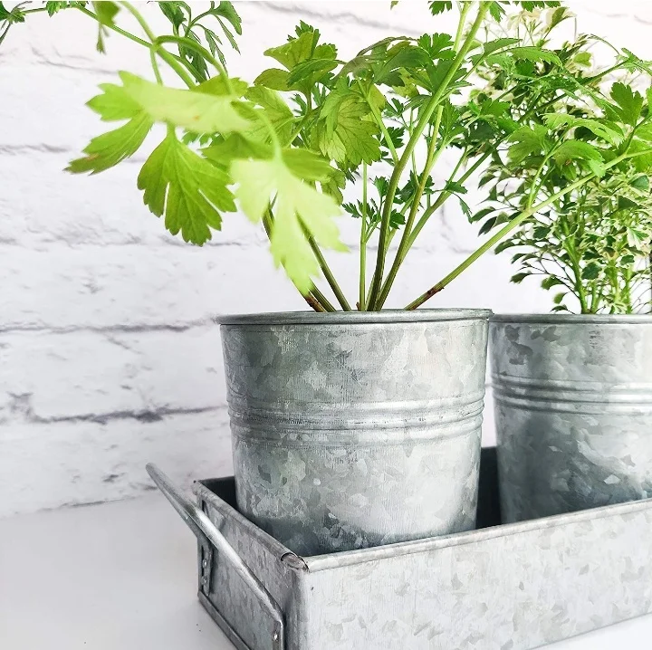 Galvanized Iron Round Planter Decorative Herb Pot Set Of 3 Piece Garden Metal Flower Pots With Tray Indoor And Outdoor Decor