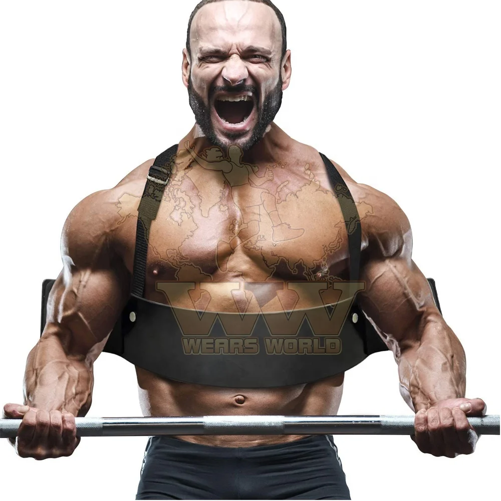 bicep weightlifting arm curl blaster belt Wholesale custom weight lifting arm blaster for Biceps Triceps Strength Curling Muscle