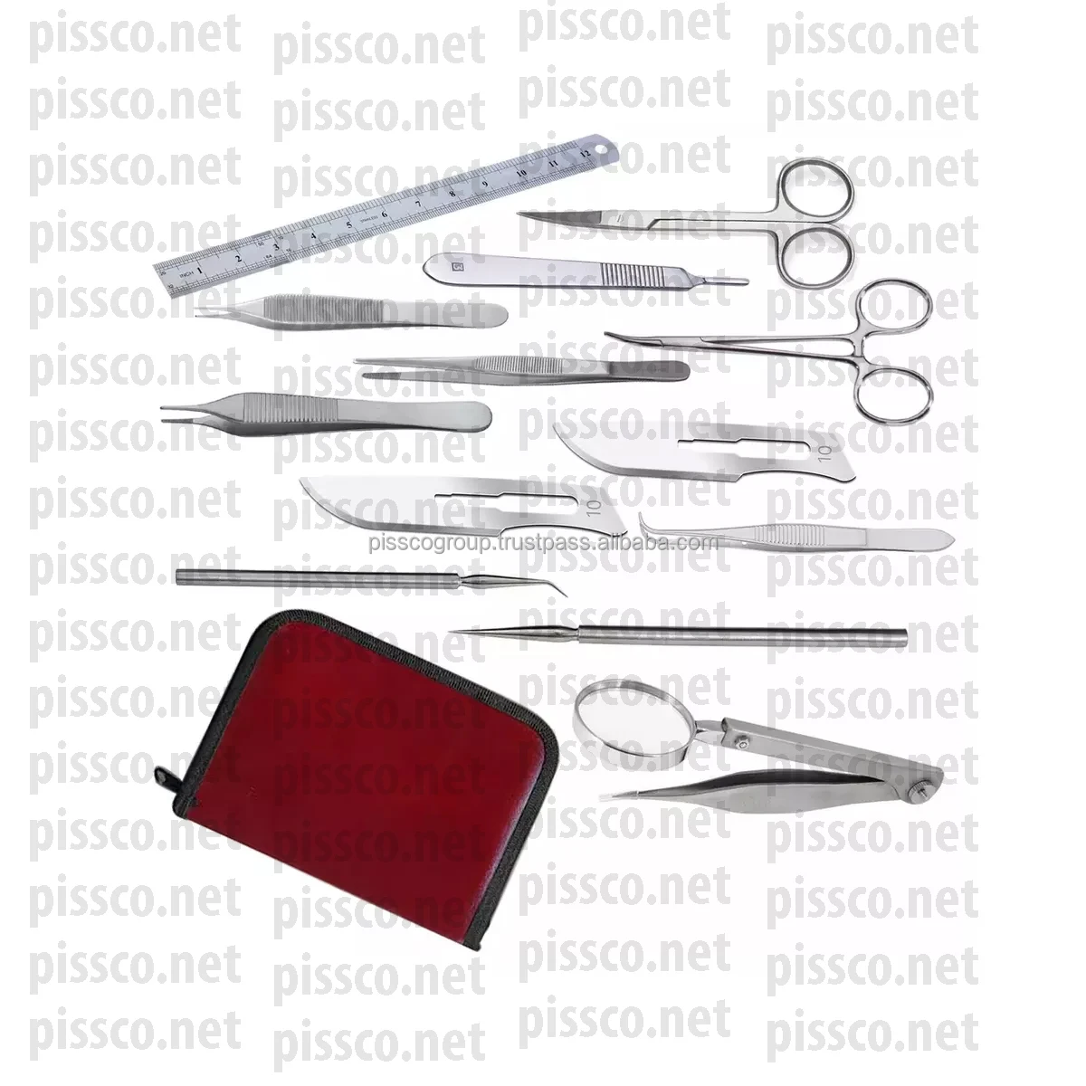 Birds Dissection Kit