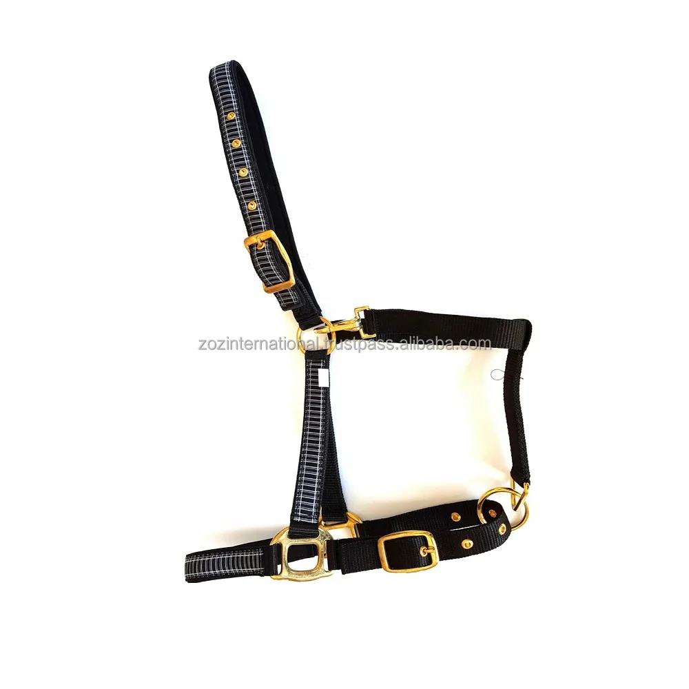  Горячая Распродажа хорошего качества PP Horse Halter по доступной цене