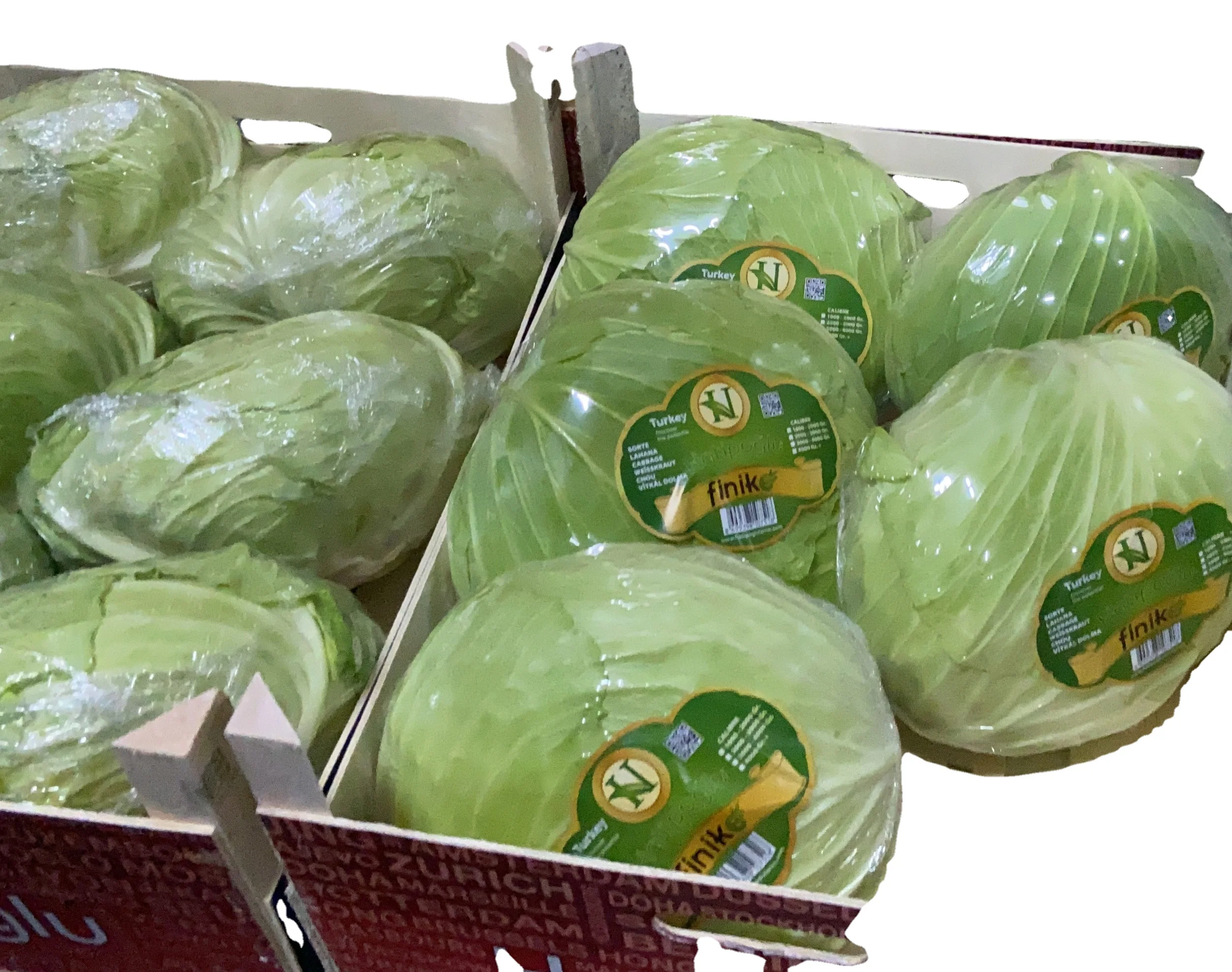 Fresh Cabbage from TURKEY in Cardboard Packs  Best Price Cabbage