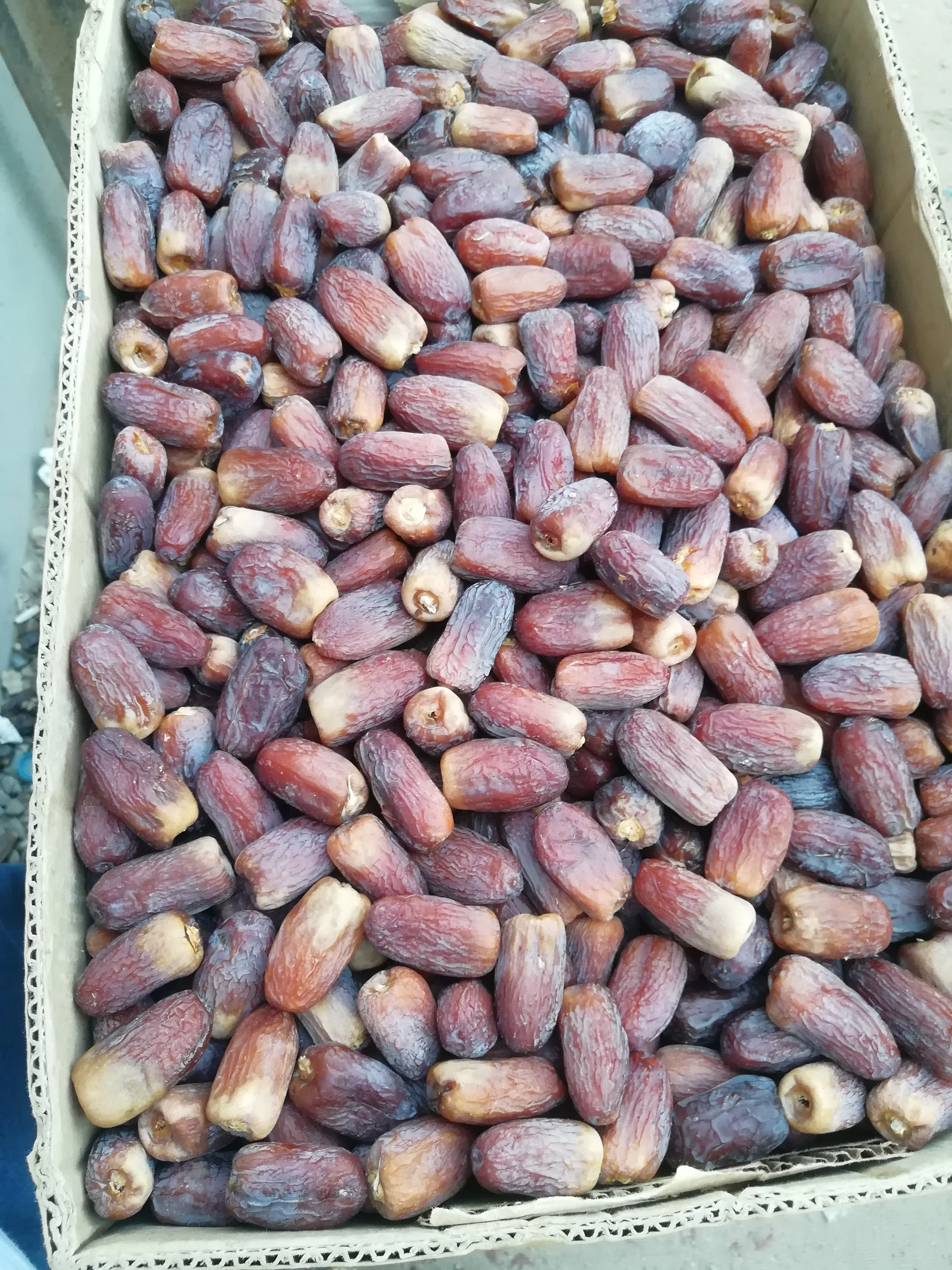 Premium Quality Medjool dates from Almadena