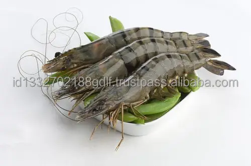 Best Selling Wholesale Price White Shrimp/Fresh Water Prawn/Frozen Vannamei Shrimp Feed From Indonesia