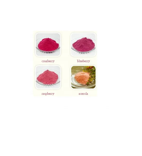 Natural concentrated fruit juice powder