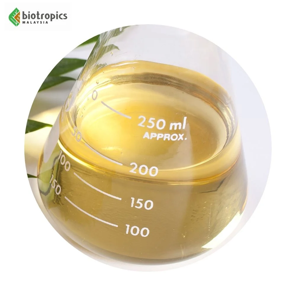 Food Grade Refined Activated Virgin Coconut Oil Premium Grade Oil for Skin and Hair Coconut Oil