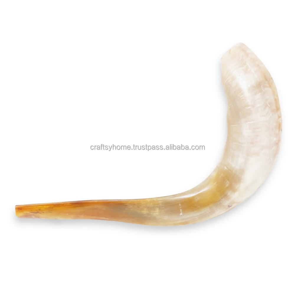 Натуральный Рог Shofar ручной работы для выдувания и религиозного назначения Кошерный полированный сделано в Израиле рог Kudu