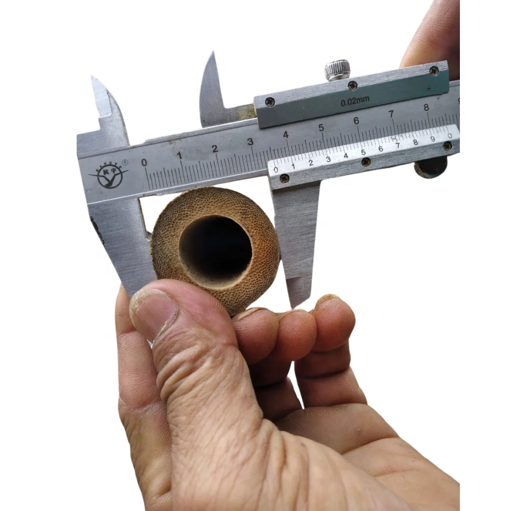 The leading product in Vietnam selling bamboo poles in bulk for decoration and construction, agriculture. most popular products