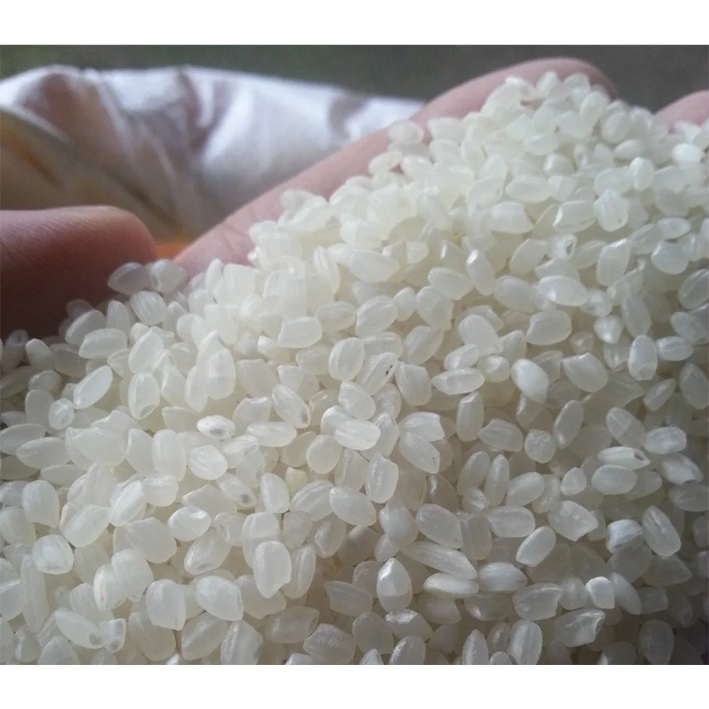 Gold Supplier Cheapest Wholesale 5% Broken Long Grain Rice Japonica Rice
