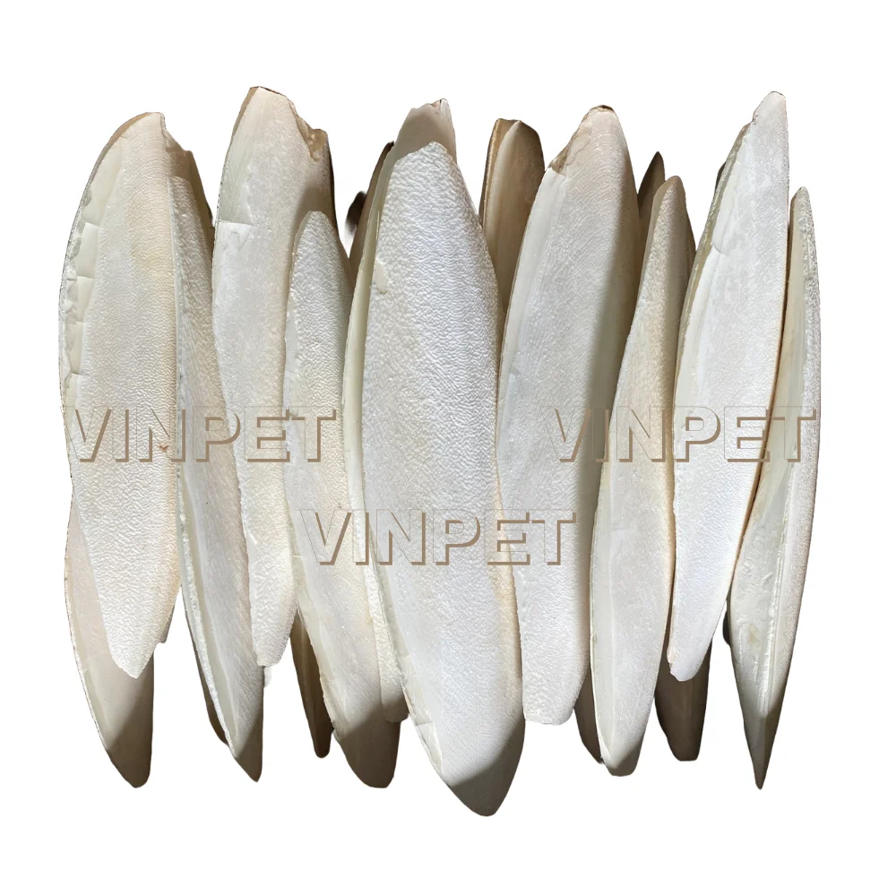BIG SIZE 8' 100% NATURAL CUTTLEFISH BONE CUTTLEBONE IN BULK 5KG CALCIUM SUPPLEMENT PET FOOD BIRDS FEED ANIMAL FEED