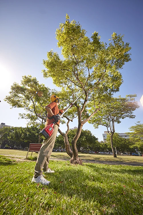 wood cutter TSP-260 chain saw 4.2M