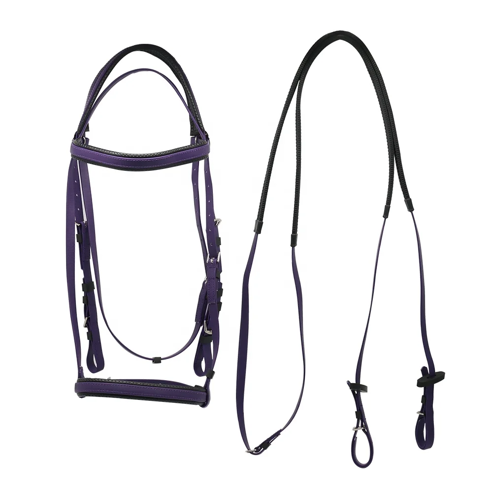 Horse Bridle And Reins