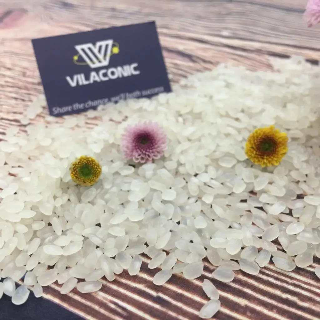 BEST SELLING CAMOLINO MEDIUM-GRAIN RICE FROM VIETNAMESE SUPPLIER- ANNA DO W/A+84982153058