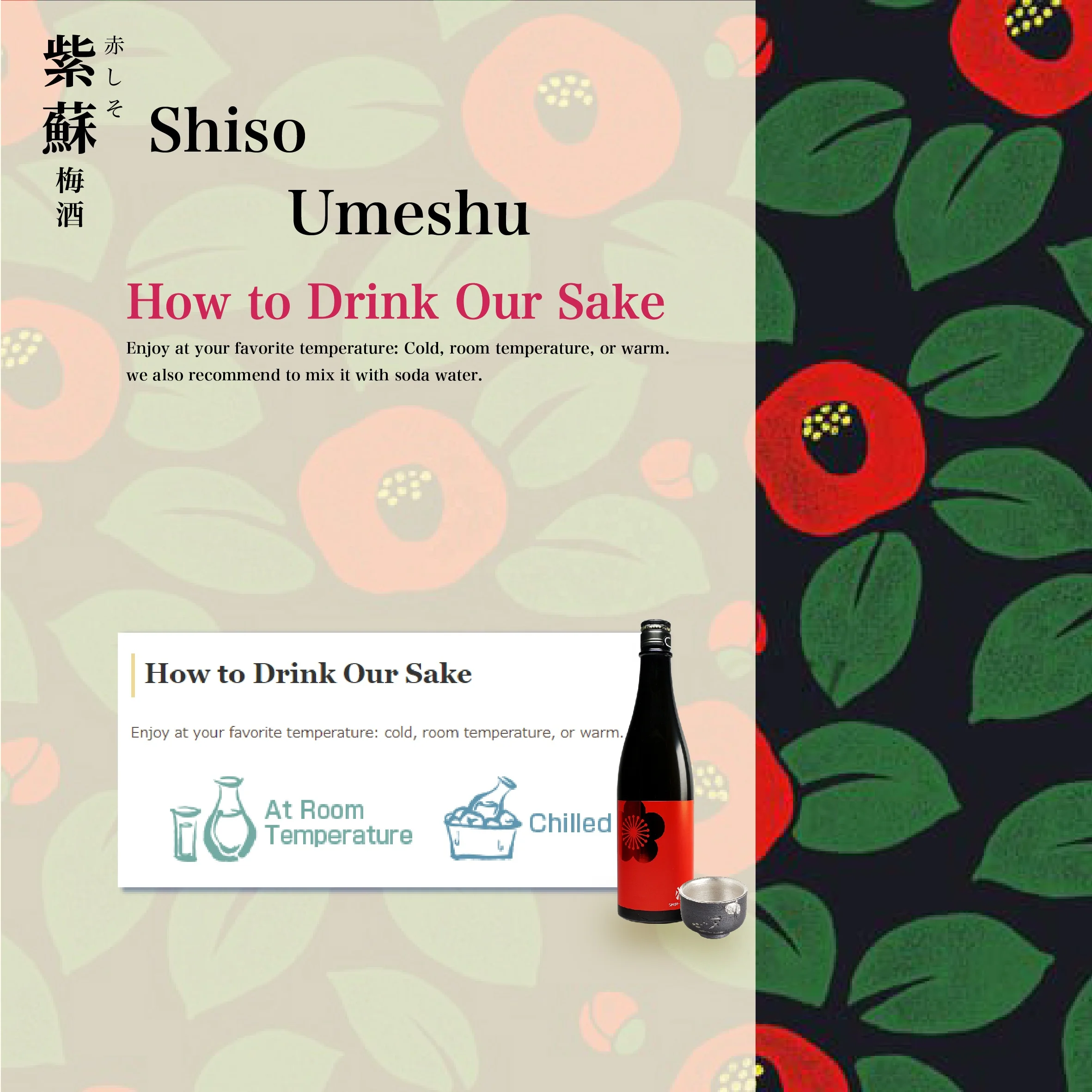 Shiso High Quality Umeshu Popular Japanese Plum Wine 720ml per bottle