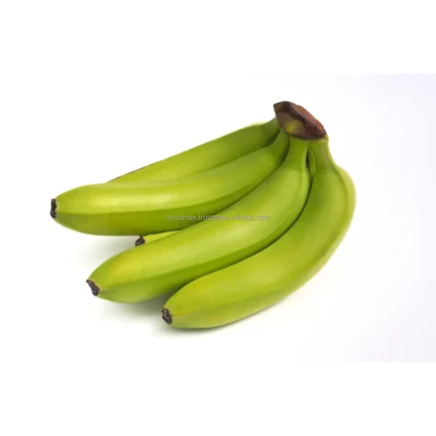 EXPORT-QUALITY VIETNAMESE BANANAS - YOUR FRESH CHOICE