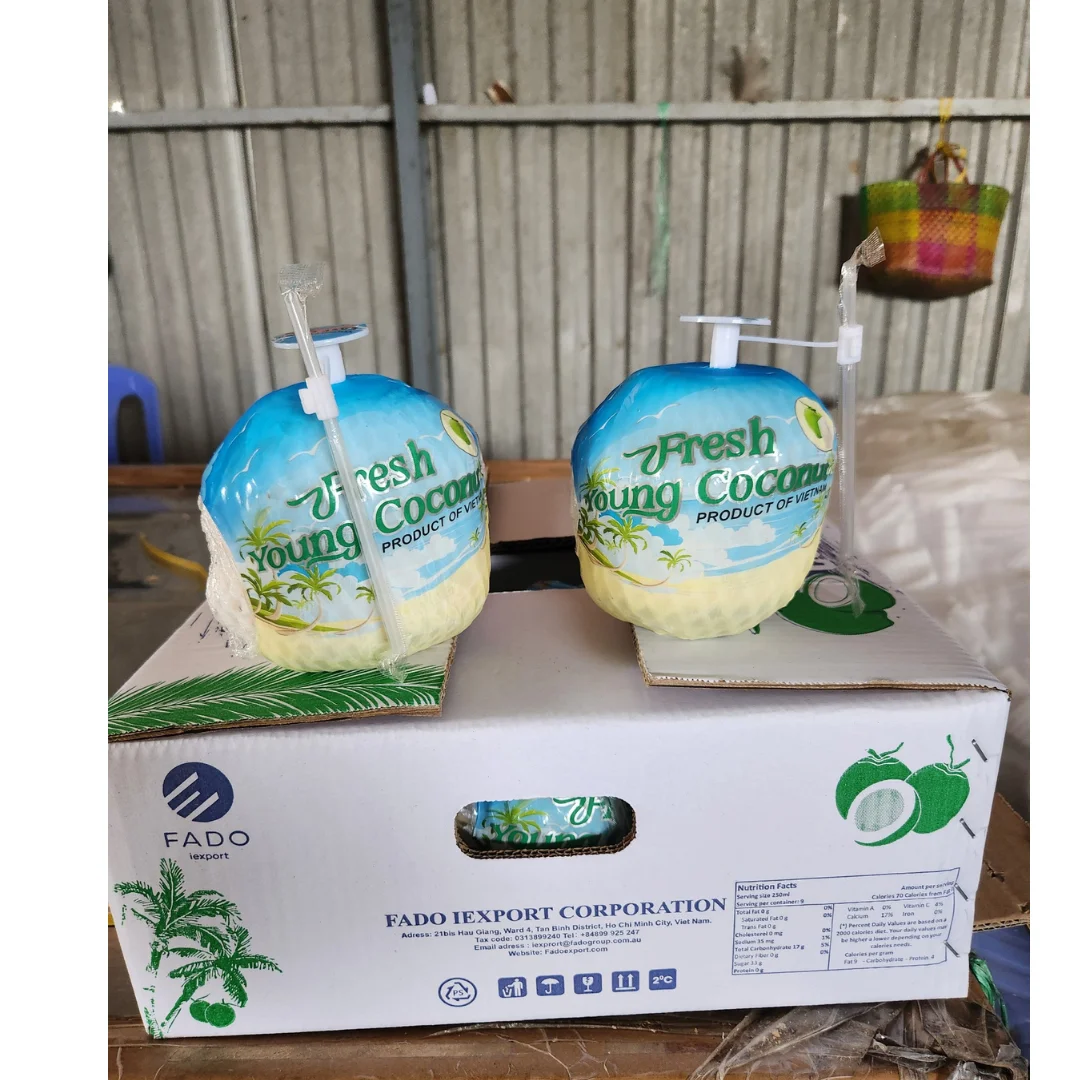 Fresh Coconuts Wholesales 2024 Vietnam Coconut Easy Open High Quality Green Coconut in Viet Nam Ready To Ship