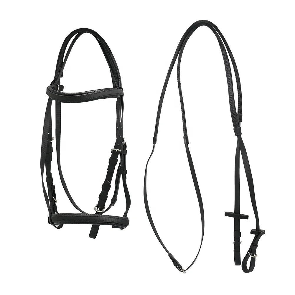 Horse Bridle And Reins