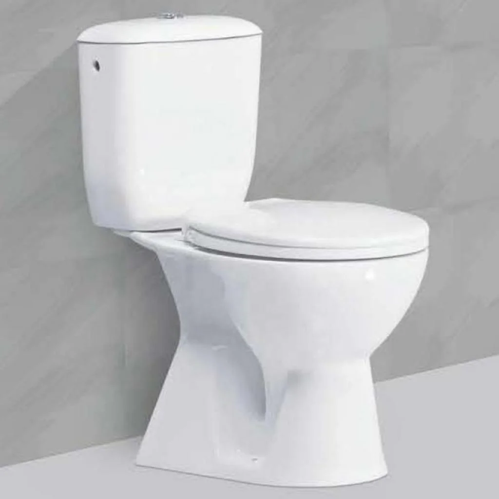 Заводская цена хорошее качество Двухсекционный шкаф для воды закрытый парный Туалет: туалет ванной с двойной системой смыва и полипропиленовый чехол сиденья
