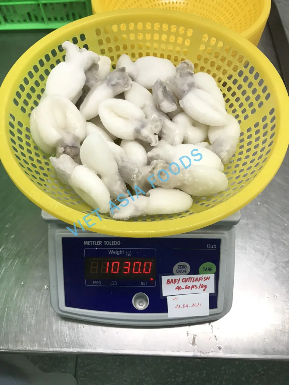 FROZEN BABY CUTTLEFISH WHOLE CLEANED