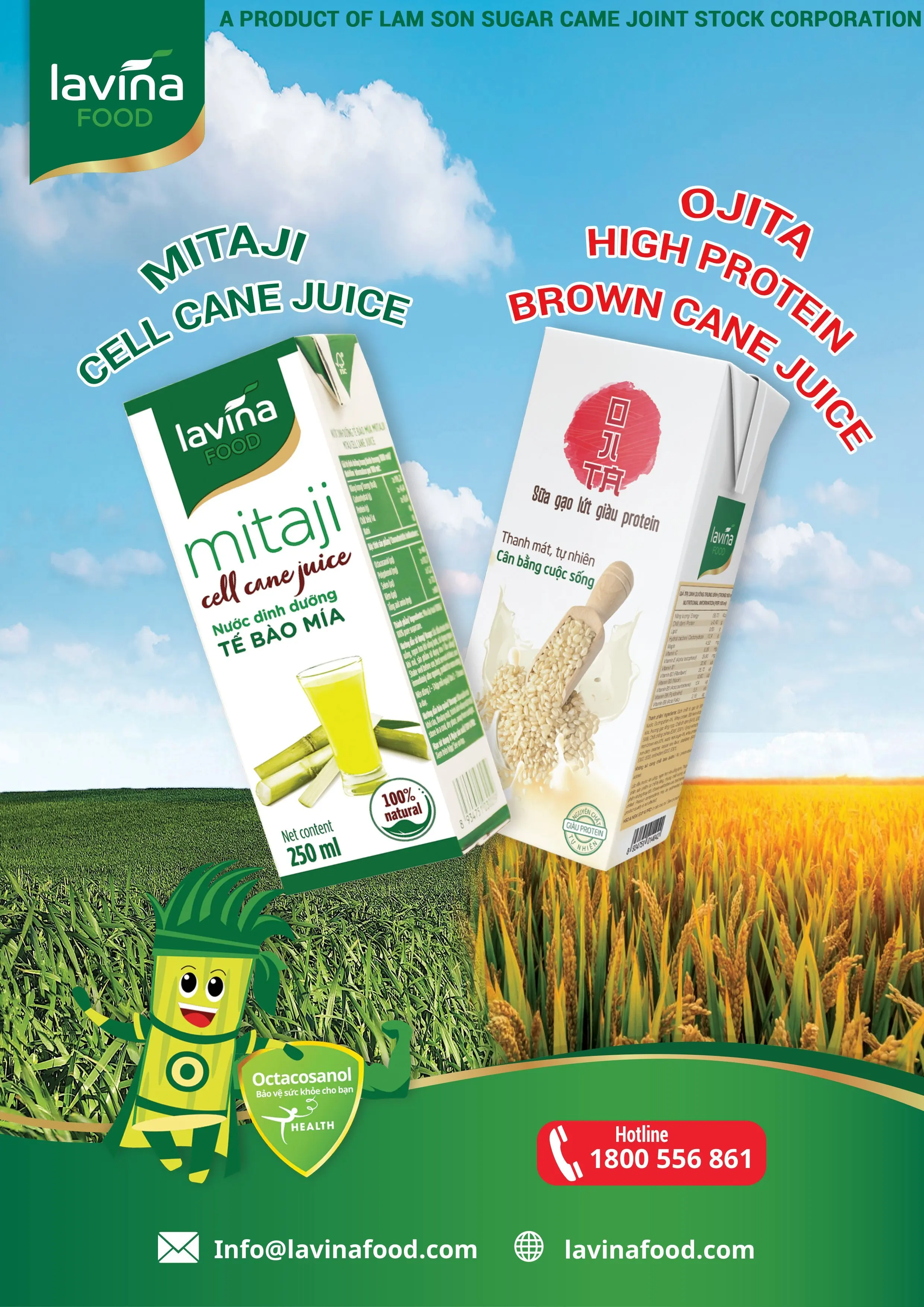 Premium Ingredient Brown rice milk 180ml Wholesale Healthy drink from Vietnamese Beverage with The health benefits Original