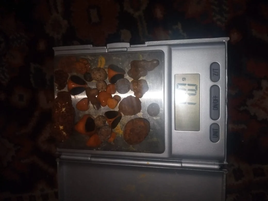 GALLSTONES OX , HIGH QUALITY & DRY OX GALLSTONES FROM PAKISTAN